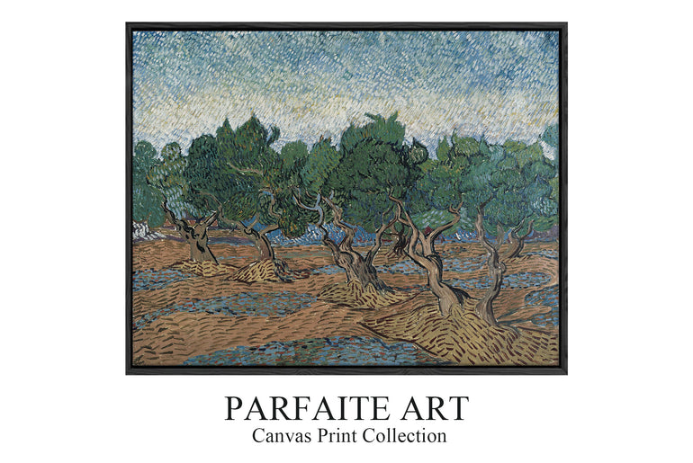 Olive Orchard by Vincent van Gogh | Giclée Printed Landscape Art | Museum-Quality Premium Framing