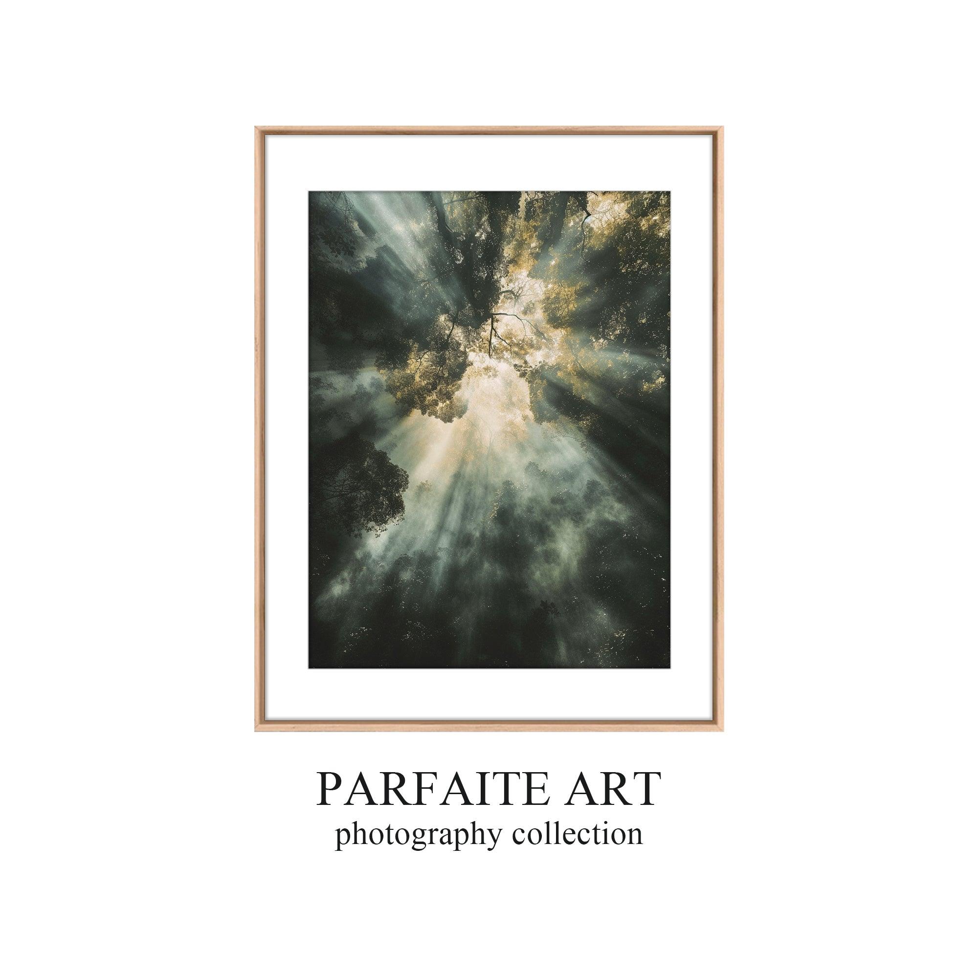 Photography Prints on Framed Fine Art Paper #P3 oak Frame