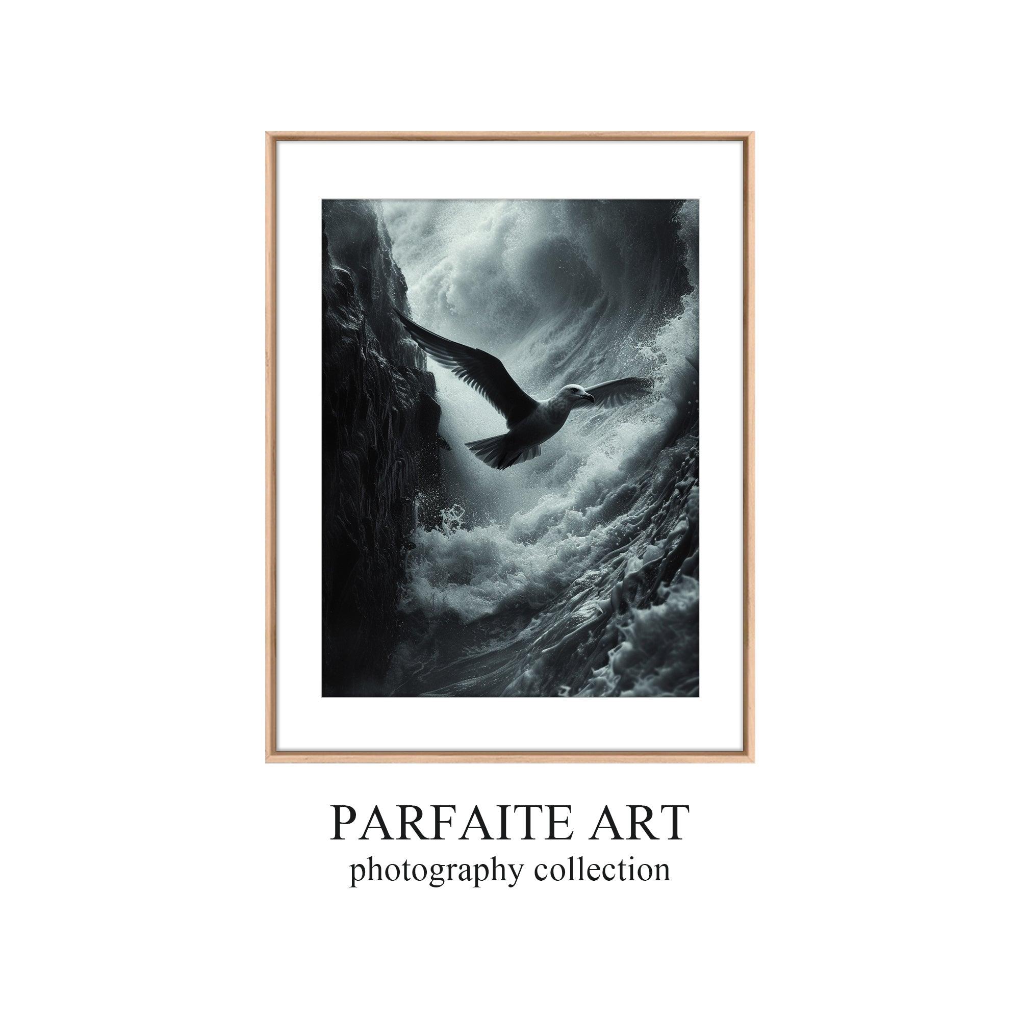 Photography Prints on Framed Fine Art Paper #P7