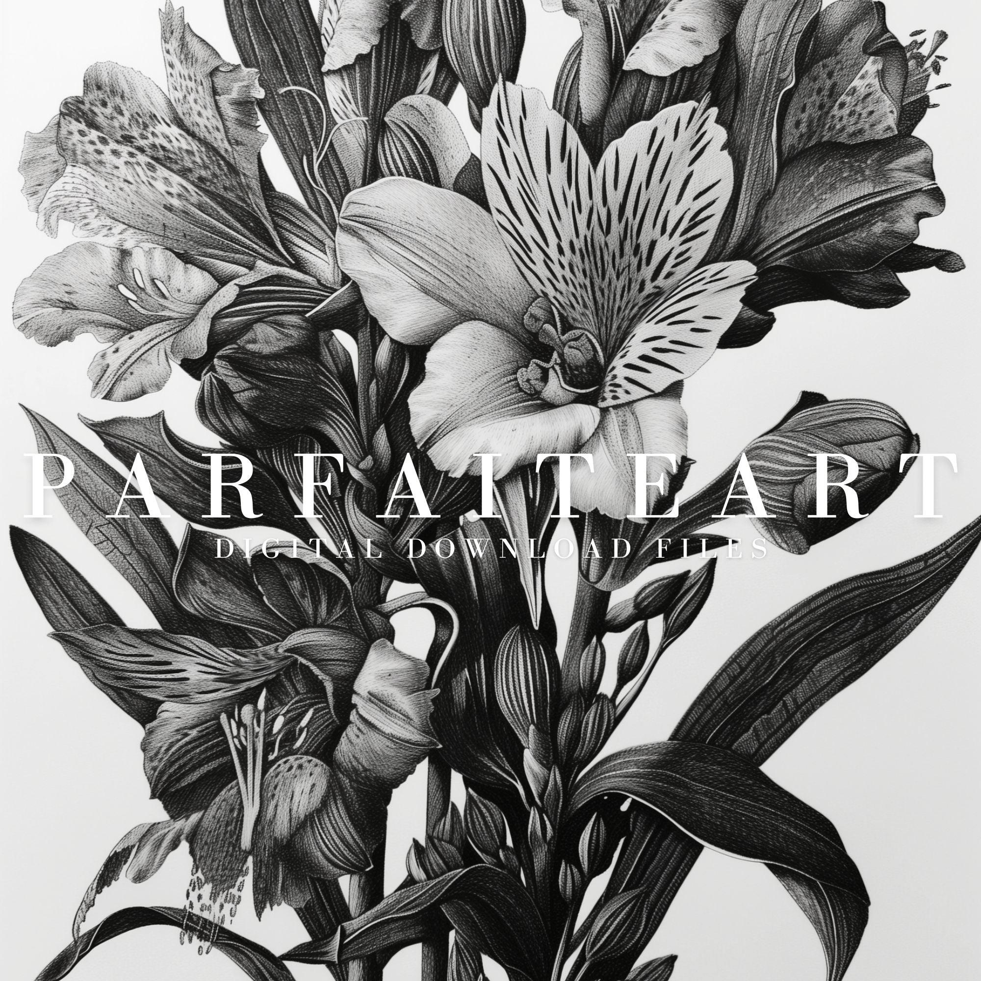 Illustration Botanical,Wall Art,Home Decor,Digital Download Files P6