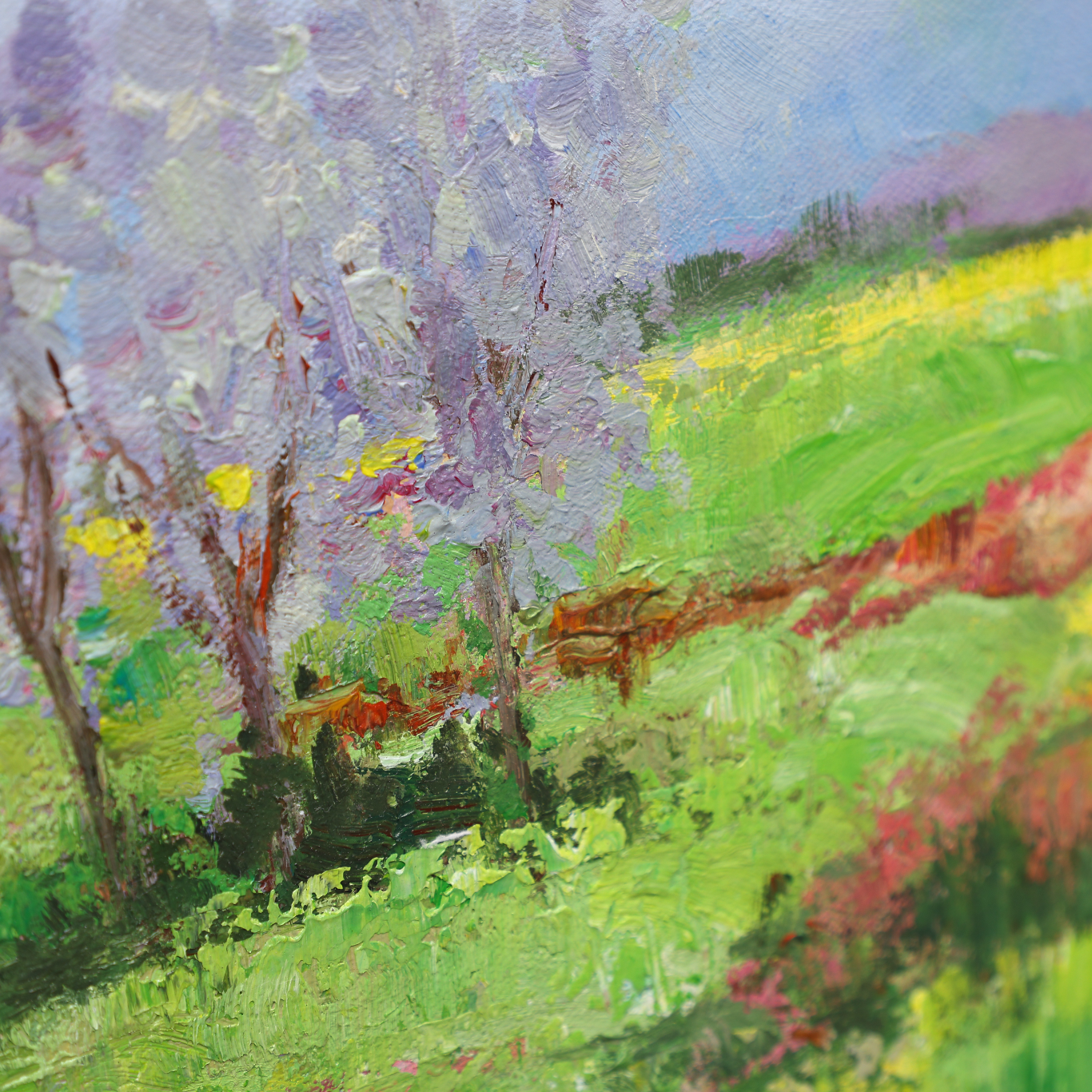 Vibrant Pastures of Spring